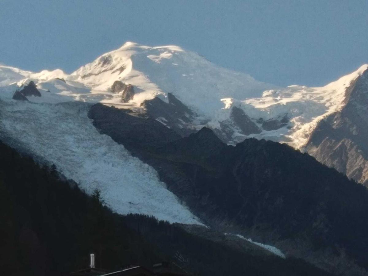 シャモニーCocon Douillet Au Pied De L'Aiguille Du Midiアパートメント エクステリア 写真